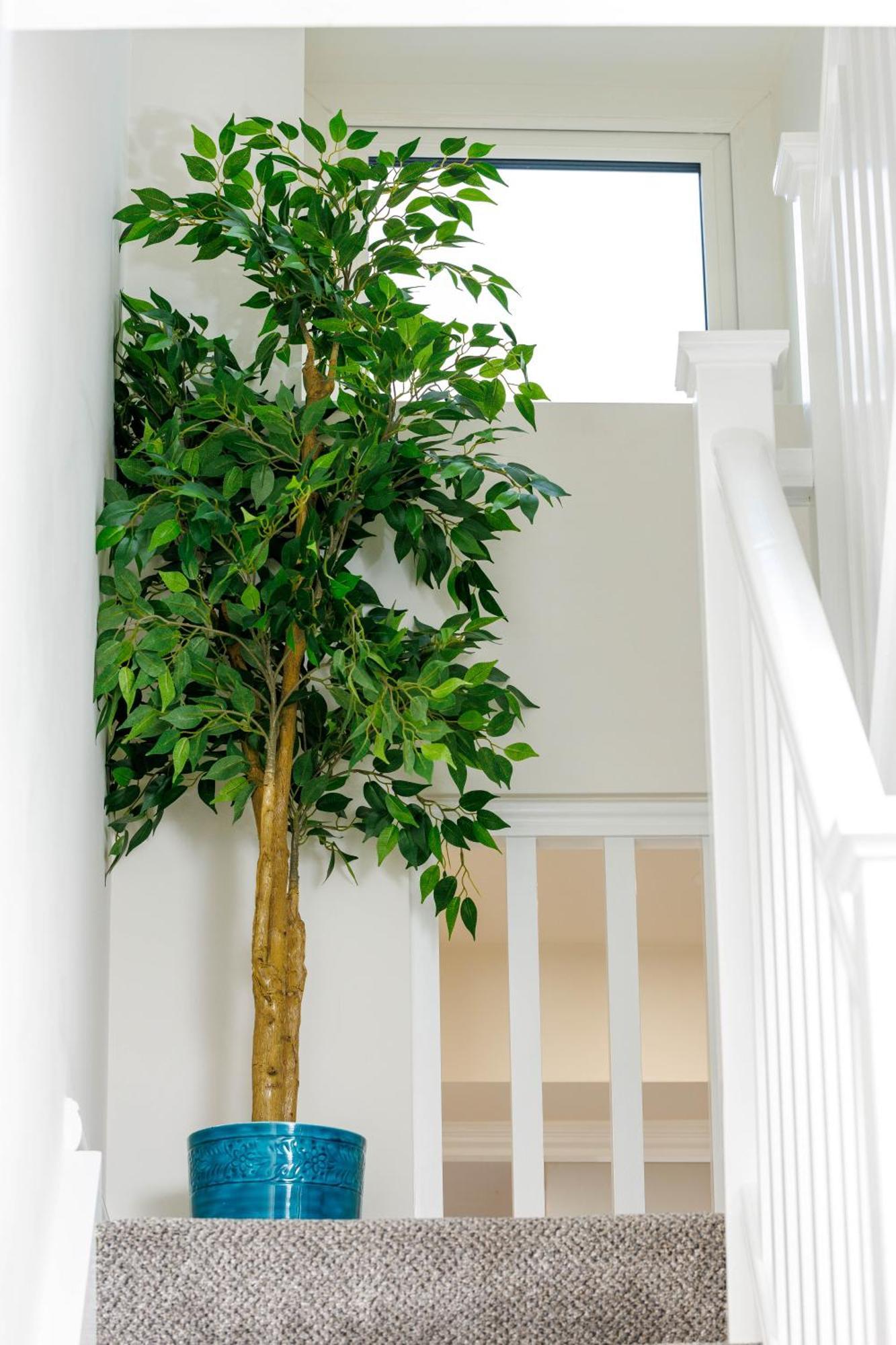 Sandbury Town House Κίλκενι Εξωτερικό φωτογραφία